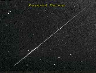 Perseid Meteor